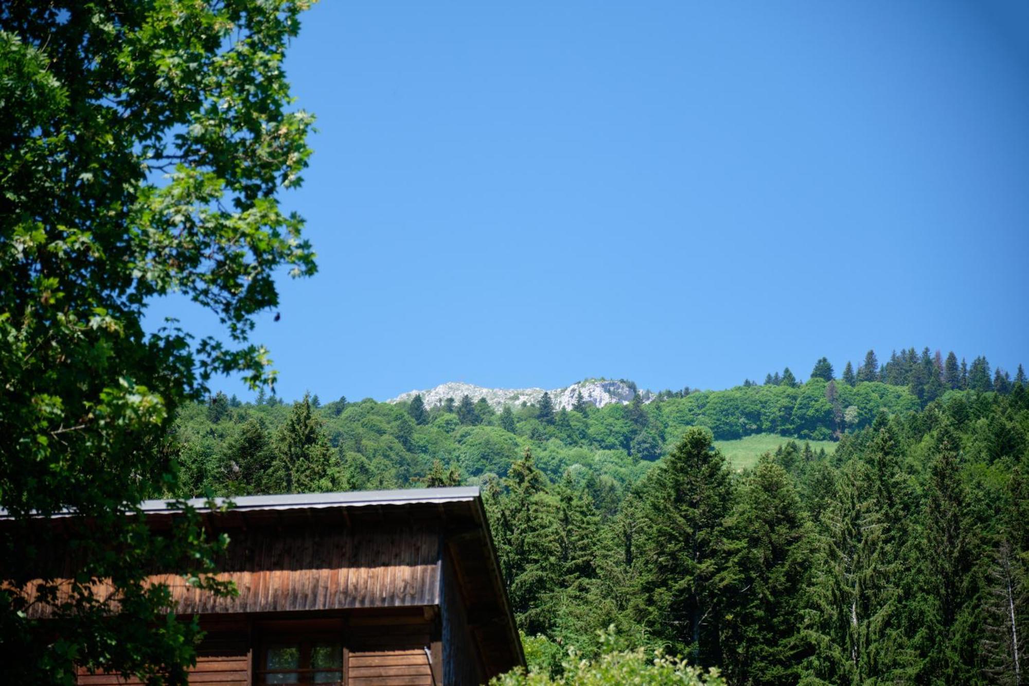 Chalet Le Lys Martagon Saint-Pierre-d'Entremont  Eksteriør billede